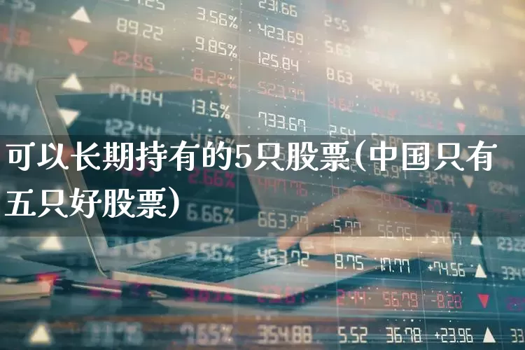 可以长期持有的5只股票(中国只有五只好股票)_https://www.syklpowerbike.com_创业板_第1张