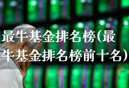 最牛基金排名榜(最牛基金排名榜前十名)_https://www.syklpowerbike.com_北交所_第1张