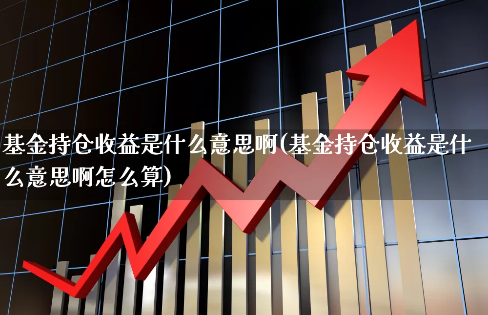 基金持仓收益是什么意思啊(基金持仓收益是什么意思啊怎么算)_https://www.syklpowerbike.com_北交所_第1张