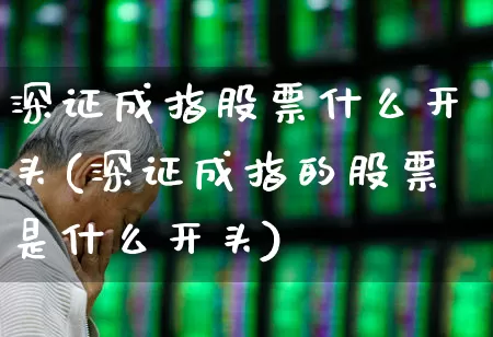 深证成指股票什么开头(深证成指的股票是什么开头)_https://www.syklpowerbike.com_科创板_第1张