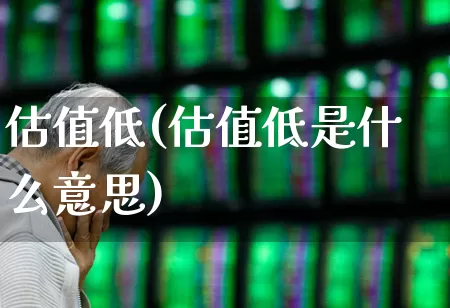 估值低(估值低是什么意思)_https://www.syklpowerbike.com_创业板_第1张