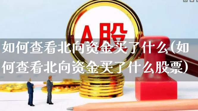 如何查看北向资金买了什么(如何查看北向资金买了什么股票)_https://www.syklpowerbike.com_北交所_第1张