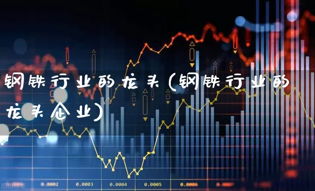 钢铁行业的龙头(钢铁行业的龙头企业)_https://www.syklpowerbike.com_深交所_第1张