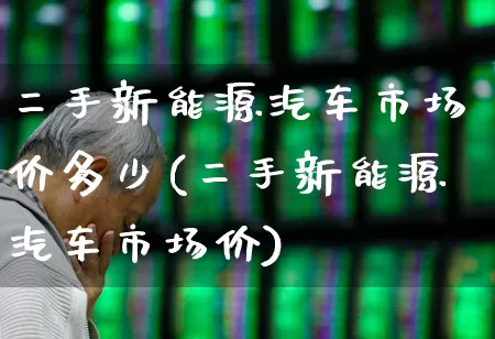 二手新能源汽车市场价多少(二手新能源汽车市场价)_https://www.syklpowerbike.com_北交所_第1张
