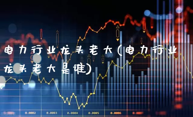 电力行业龙头老大(电力行业龙头老大是谁)_https://www.syklpowerbike.com_科创板_第1张