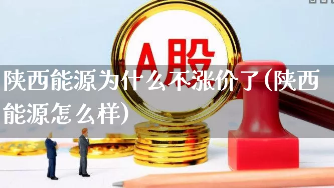 陕西能源为什么不涨价了(陕西能源怎么样)_https://www.syklpowerbike.com_科创板_第1张
