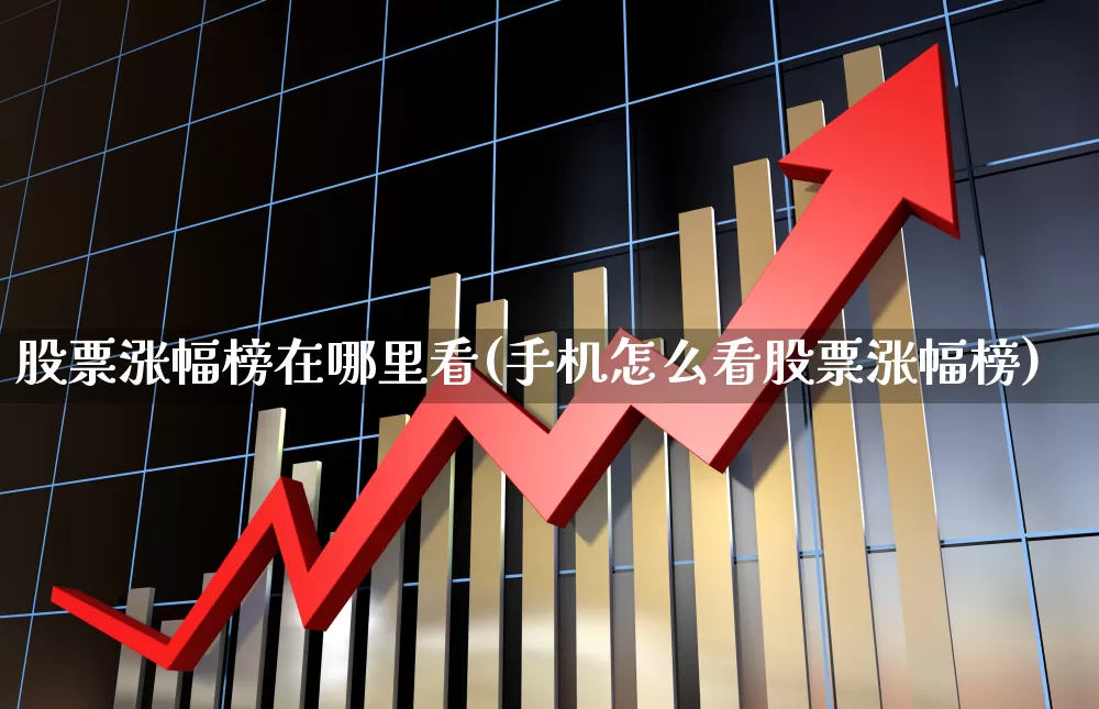 股票涨幅榜在哪里看(手机怎么看股票涨幅榜)_https://www.syklpowerbike.com_北交所_第1张