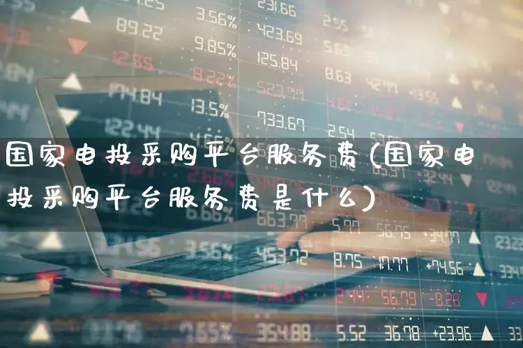 国家电投采购平台服务费(国家电投采购平台服务费是什么)_https://www.syklpowerbike.com_北交所_第1张