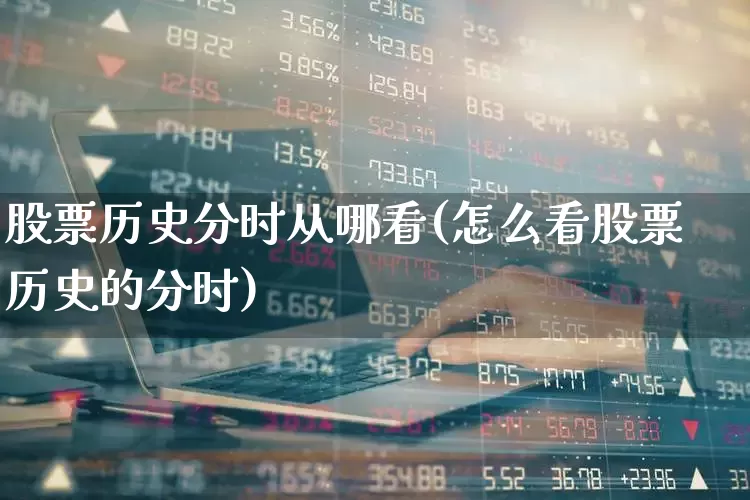 股票历史分时从哪看(怎么看股票历史的分时)_https://www.syklpowerbike.com_深交所_第1张