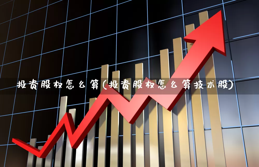 投资股权怎么算(投资股权怎么算技术股)_https://www.syklpowerbike.com_北交所_第1张