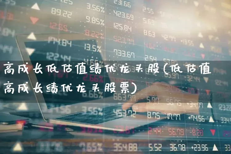 高成长低估值绩优龙头股(低估值高成长绩优龙头股票)_https://www.syklpowerbike.com_北交所_第1张