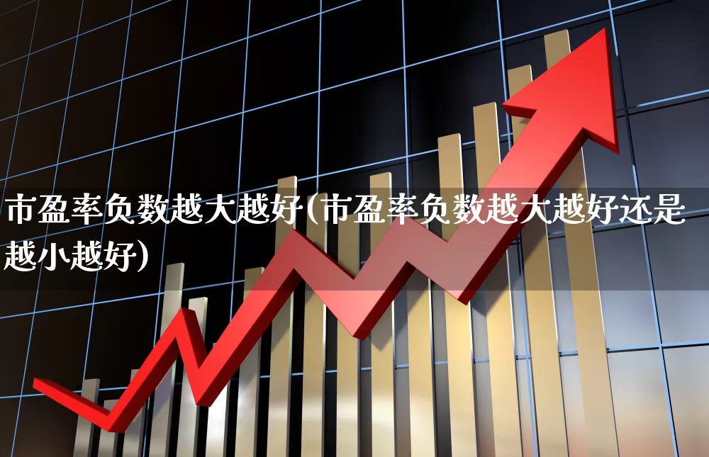 市盈率负数越大越好(市盈率负数越大越好还是越小越好)_https://www.syklpowerbike.com_深交所_第1张