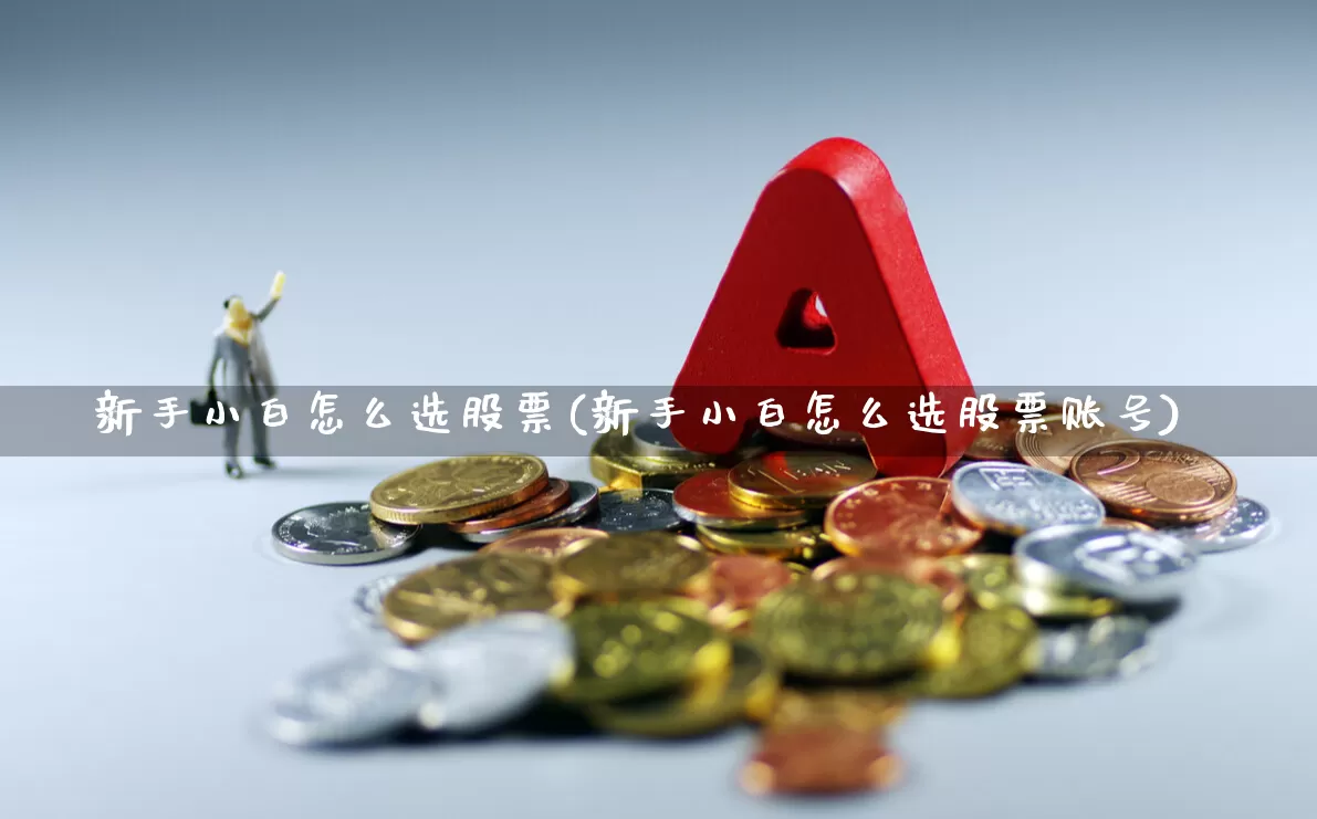 新手小白怎么选股票(新手小白怎么选股票账号)_https://www.syklpowerbike.com_上交所_第1张