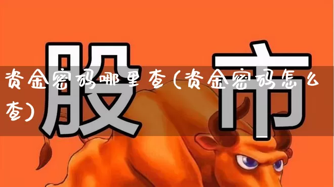 资金密码哪里查(资金密码怎么查)_https://www.syklpowerbike.com_创业板_第1张