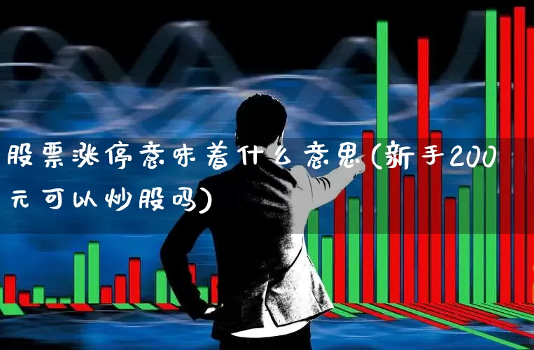 股票涨停意味着什么意思(新手200元可以炒股吗)_https://www.syklpowerbike.com_深交所_第1张