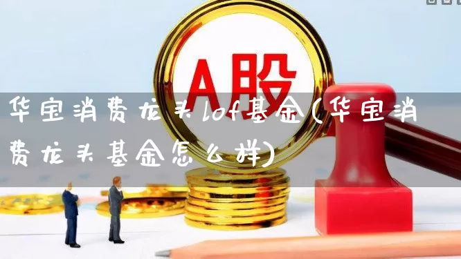 华宝消费龙头lof基金(华宝消费龙头基金怎么样)_https://www.syklpowerbike.com_创业板_第1张