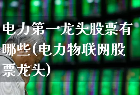 电力第一龙头股票有哪些(电力物联网股票龙头)_https://www.syklpowerbike.com_北交所_第1张