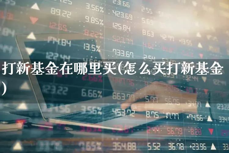 打新基金在哪里买(怎么买打新基金)_https://www.syklpowerbike.com_创业板_第1张