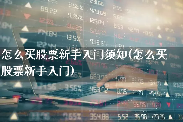 怎么买股票新手入门须知(怎么买股票新手入门)_https://www.syklpowerbike.com_北交所_第1张