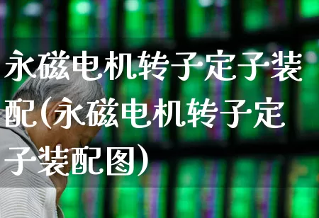 永磁电机转子定子装配(永磁电机转子定子装配图)_https://www.syklpowerbike.com_创业板_第1张