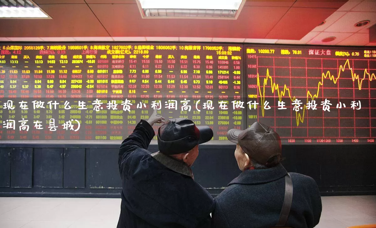 现在做什么生意投资小利润高(现在做什么生意投资小利润高在县城)_https://www.syklpowerbike.com_创业板_第1张