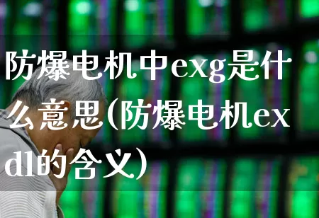 防爆电机中exg是什么意思(防爆电机exdl的含义)_https://www.syklpowerbike.com_科创板_第1张