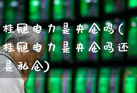 桂冠电力是央企吗(桂冠电力是央企吗还是私企)_https://www.syklpowerbike.com_创业板_第1张