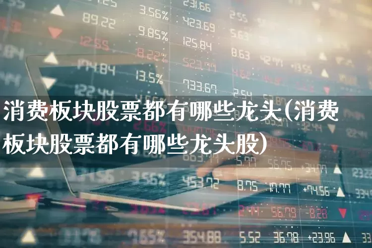 消费板块股票都有哪些龙头(消费板块股票都有哪些龙头股)_https://www.syklpowerbike.com_上交所_第1张