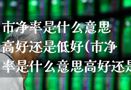 市净率是什么意思 高好还是低好(市净率是什么意思高好还是低好)_https://www.syklpowerbike.com_科创板_第1张