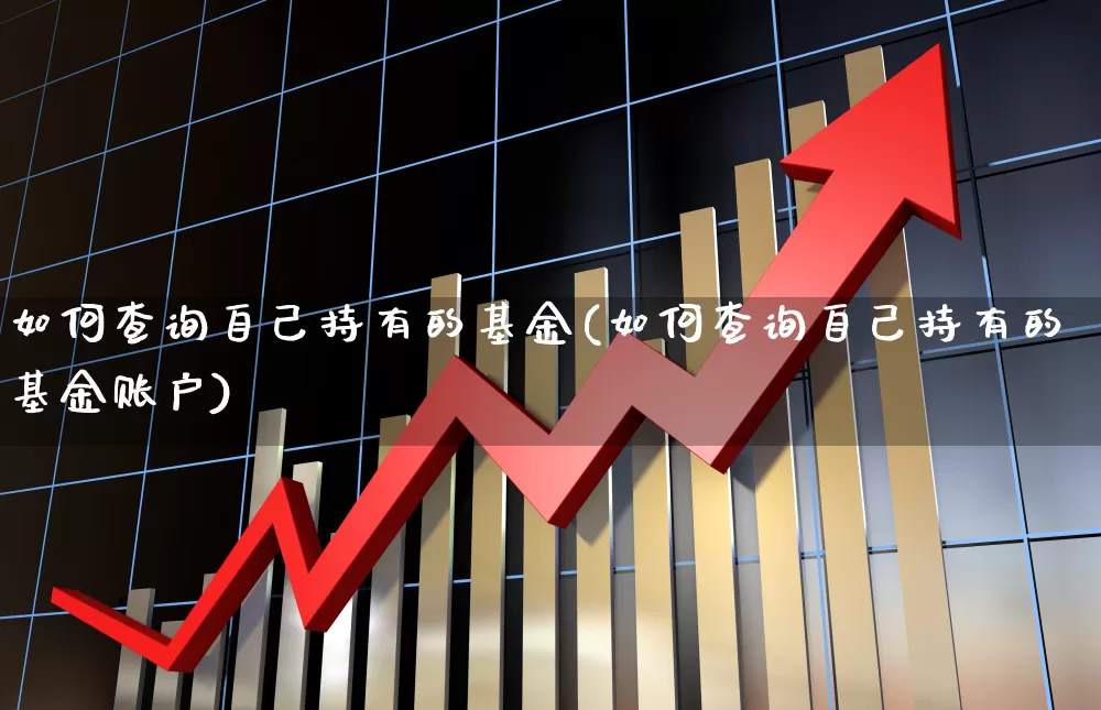 如何查询自己持有的基金(如何查询自己持有的基金账户)_https://www.syklpowerbike.com_科创板_第1张