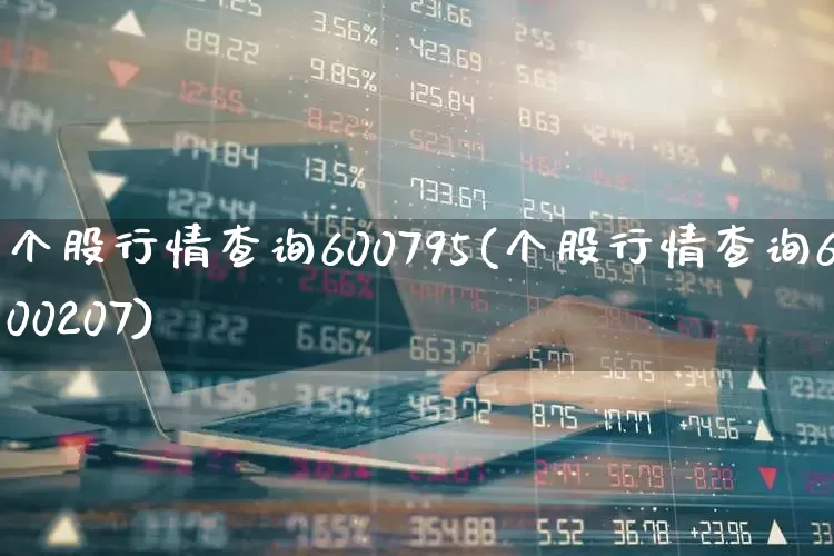 个股行情查询600795(个股行情查询600207)_https://www.syklpowerbike.com_创业板_第1张