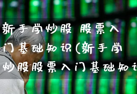 新手学炒股 股票入门基础知识(新手学炒股股票入门基础知识)_https://www.syklpowerbike.com_科创板_第1张