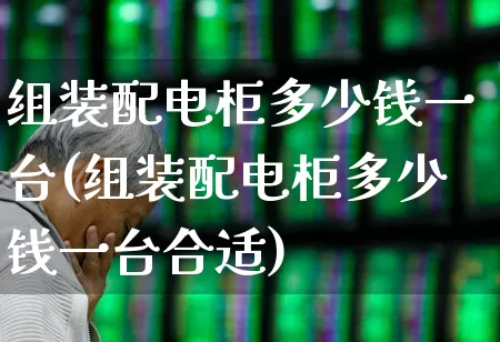 组装配电柜多少钱一台(组装配电柜多少钱一台合适)_https://www.syklpowerbike.com_北交所_第1张