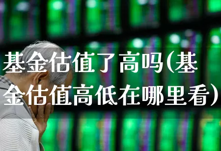 基金估值了高吗(基金估值高低在哪里看)_https://www.syklpowerbike.com_深交所_第1张