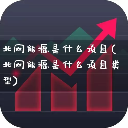 北网能源是什么项目(北网能源是什么项目类型)_https://www.syklpowerbike.com_上交所_第1张