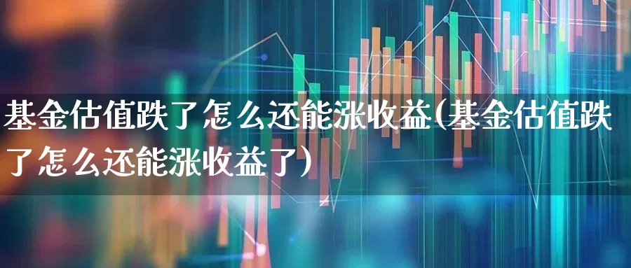 基金估值跌了怎么还能涨收益(基金估值跌了怎么还能涨收益了)_https://www.syklpowerbike.com_深交所_第1张