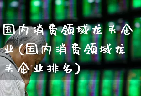 国内消费领域龙头企业(国内消费领域龙头企业排名)_https://www.syklpowerbike.com_深交所_第1张