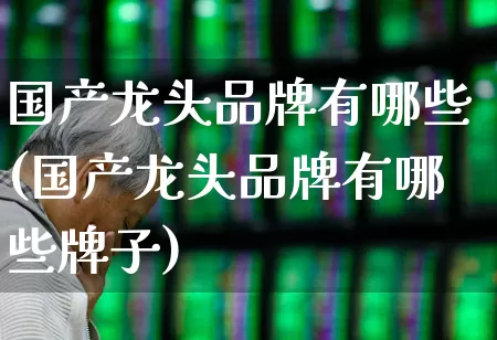 国产龙头品牌有哪些(国产龙头品牌有哪些牌子)_https://www.syklpowerbike.com_北交所_第1张