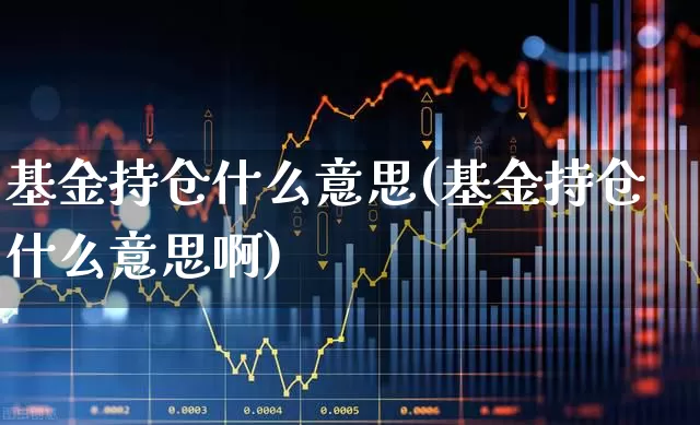 基金持仓什么意思(基金持仓什么意思啊)_https://www.syklpowerbike.com_科创板_第1张