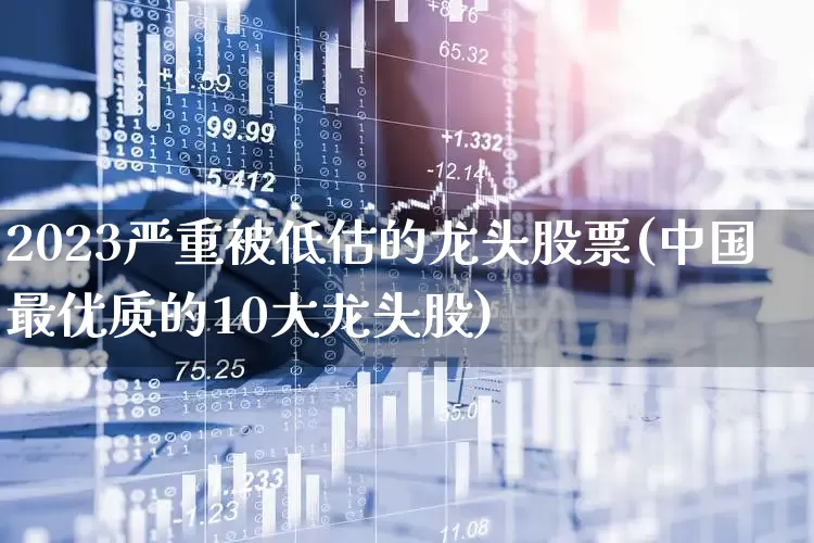 2023严重被低估的龙头股票(中国最优质的10大龙头股)_https://www.syklpowerbike.com_北交所_第1张