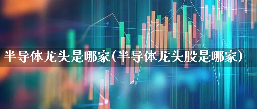 半导体龙头是哪家(半导体龙头股是哪家)_https://www.syklpowerbike.com_上交所_第1张