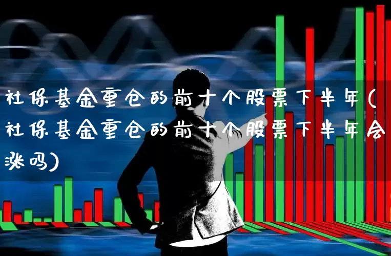 社保基金重仓的前十个股票下半年(社保基金重仓的前十个股票下半年会涨吗)_https://www.syklpowerbike.com_深交所_第1张