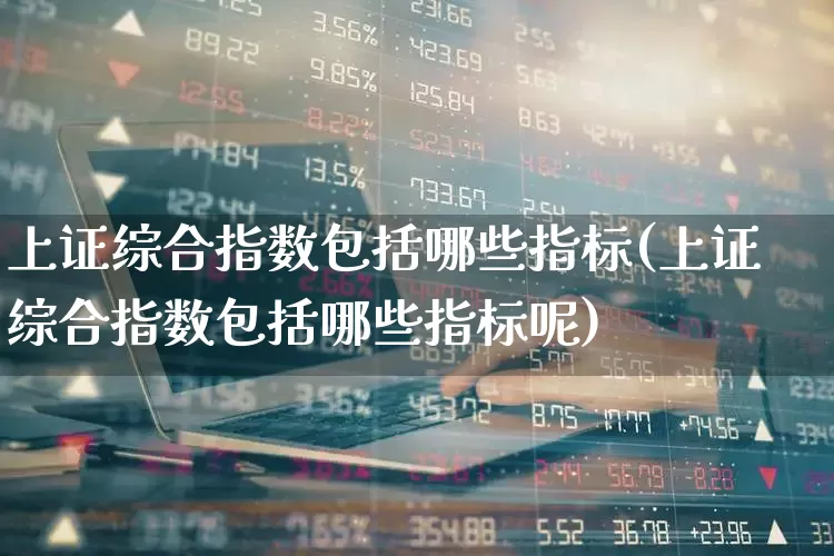 上证综合指数包括哪些指标(上证综合指数包括哪些指标呢)_https://www.syklpowerbike.com_上交所_第1张