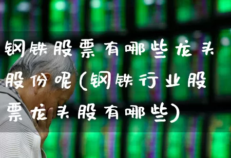 钢铁股票有哪些龙头股份呢(钢铁行业股票龙头股有哪些)_https://www.syklpowerbike.com_科创板_第1张
