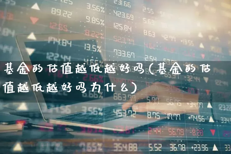 基金的估值越低越好吗(基金的估值越低越好吗为什么)_https://www.syklpowerbike.com_科创板_第1张