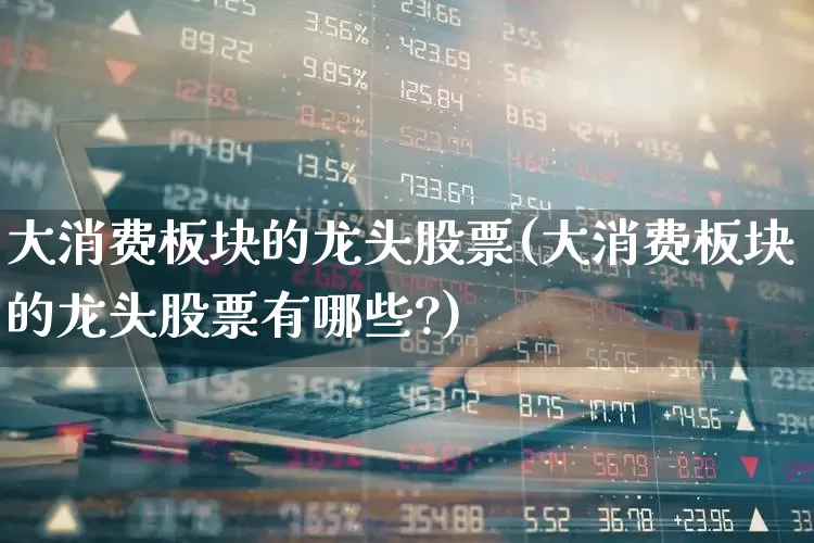 大消费板块的龙头股票(大消费板块的龙头股票有哪些?)_https://www.syklpowerbike.com_北交所_第1张