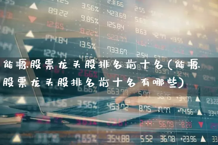 能源股票龙头股排名前十名(能源股票龙头股排名前十名有哪些)_https://www.syklpowerbike.com_上交所_第1张