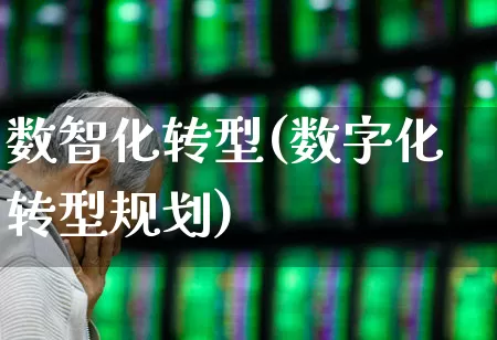 数智化转型(数字化转型规划)_https://www.syklpowerbike.com_科创板_第1张