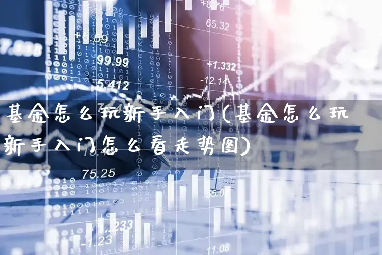 基金怎么玩新手入门(基金怎么玩新手入门怎么看走势图)_https://www.syklpowerbike.com_北交所_第1张