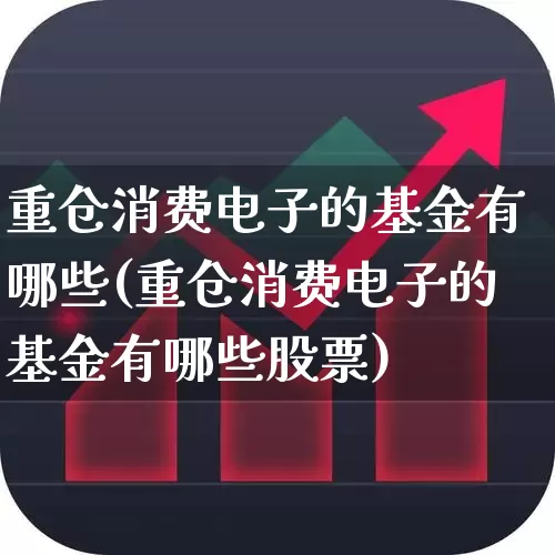 重仓消费电子的基金有哪些(重仓消费电子的基金有哪些股票)_https://www.syklpowerbike.com_科创板_第1张